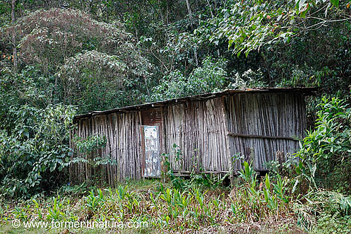 Esta cabaña en Mandor Pampa no es muy diferente a la "choza de techo pajizo, muy deteriorada" en la que vivía Melchor Arteaga.